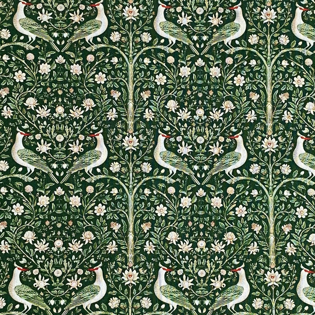 Tkanine za šivenje - PTICA CRVENOKLJUN